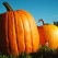 Ep. 40 Special Halloween Edition: All Hallows’ Eve or Eve of American Liberty? [audio]